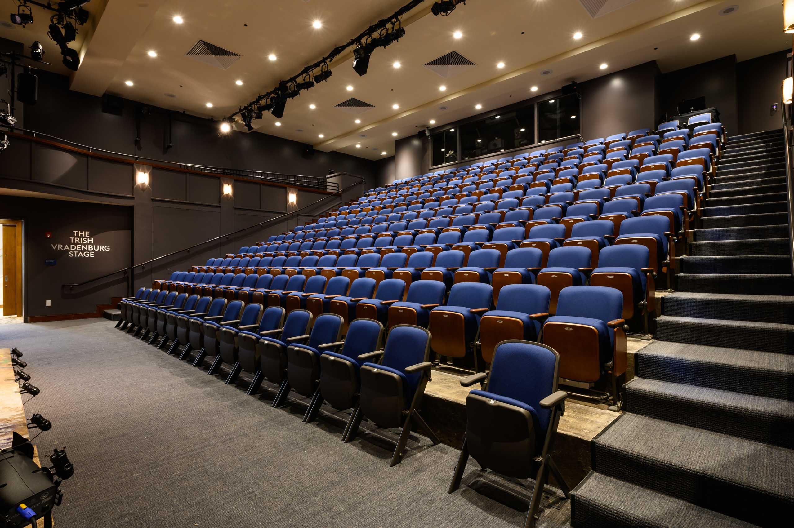 aaron cecile goldman theater.