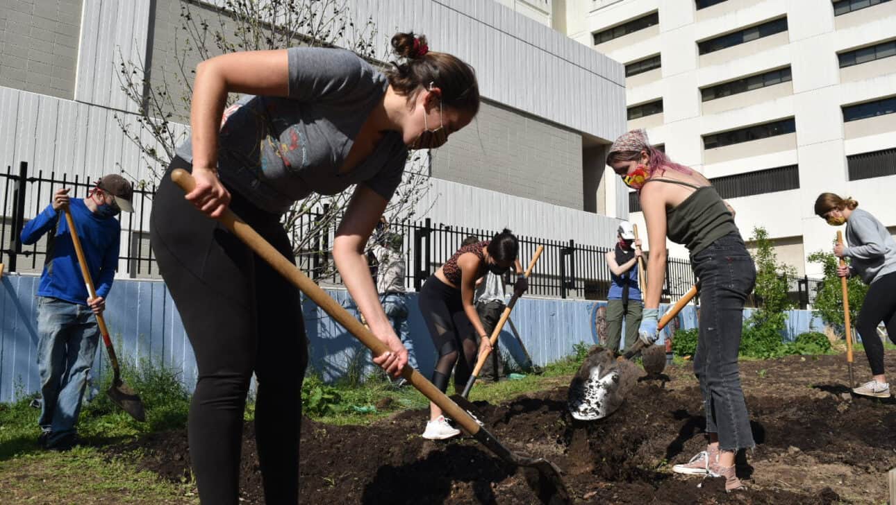 volunteers gardening in a city.