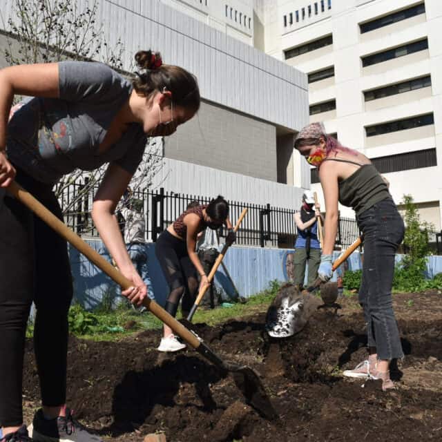 volunteers gardening in a city.