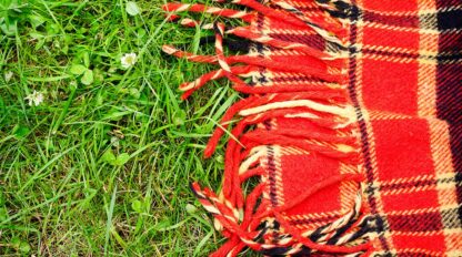 Picnic blanket on grass