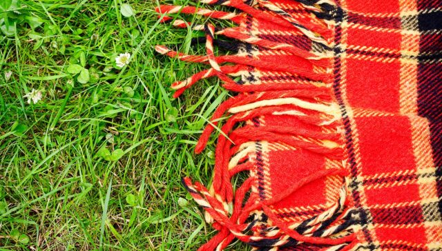 Picnic blanket on grass
